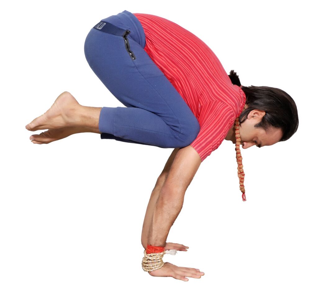 How to Do the Crane-Cow Pose - MISS YOGA FIT